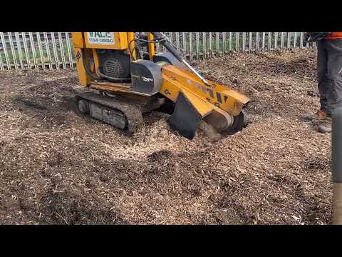 Predator stump grinder