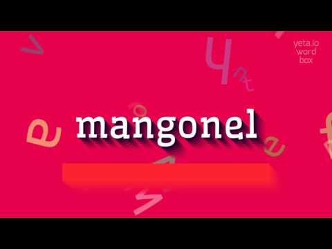 MANGONEL - HOW TO PRONOUNCE IT?
