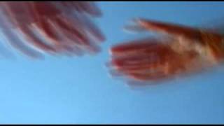 liquid sugar  -  maps