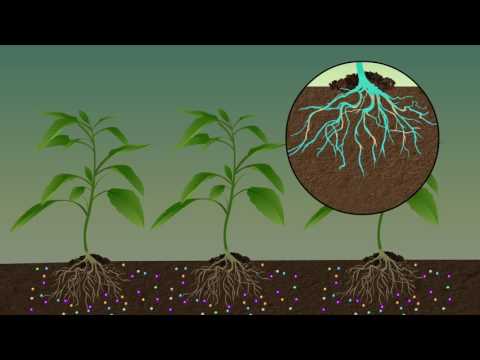 K- UP  Soil Potash Absorbent