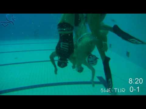 EC2017 Game27 TUR-SWE men