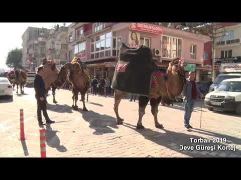Torbalı 2019 #Deve Güreşi korteji