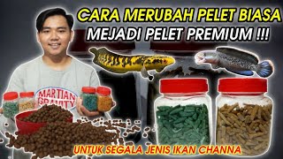 Download lagu BEGINI CARA MERUBAH PELET BIASA MENJADI PELET PREMIUM UNTUK CHANNA mp3