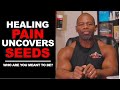 Healing PAIN Uncovers SEEDS: Who Are You Meant to Be?