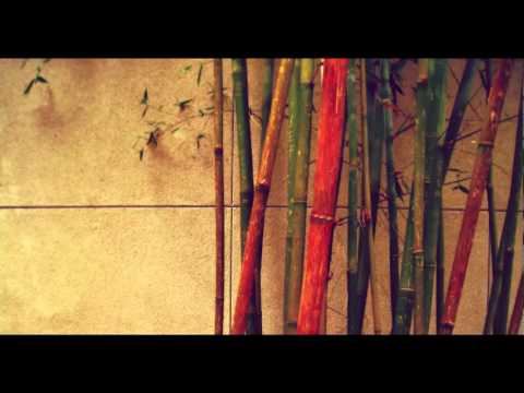 Panacea feat. Kondor - The Scenic Route