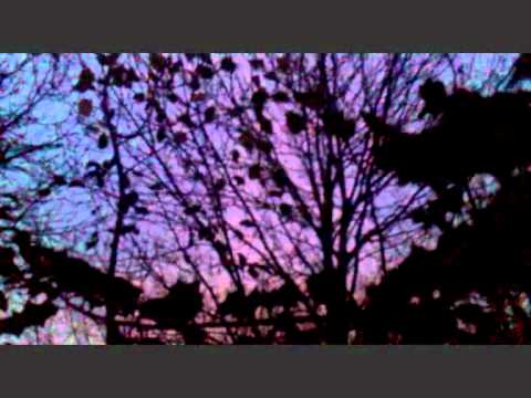 Mykola Leontovych - Prelude for Choir