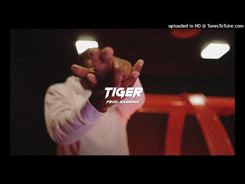 *FREE* Rah Swish x Bizzy Banks NY Drill Type Beat 2021 "TIGER" (prod. @prodnaesean x @dxnny.com_)