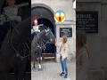 A Miracle Unfolds Ormonde Finally Likes Someone Epic Moments Horse Guards