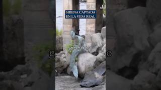 Download lagu Mermaid caught in real life 💀 mp3