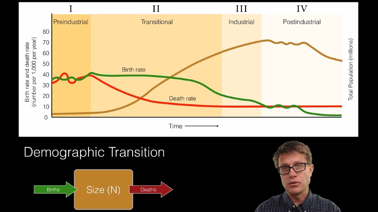 Human Population Dynamics