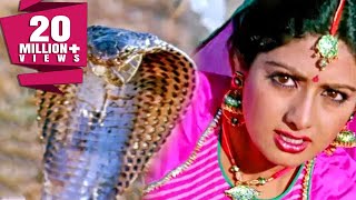 Download lagu साँपों ने बचाई श्रीदेवी की जान | नगीना | Sridevi, Rishi Kapoor | Bollywood Movie Best Scene| Nagina mp3