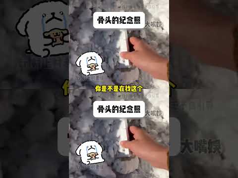 狗：谁来管管啊，我遇到沙狗盘了 #搞笑 #万万没想到 #狗狗 #搞笑 #恶作剧