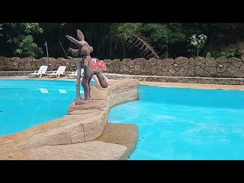 Camping em Caldas Novas GO Tropical Thermas club