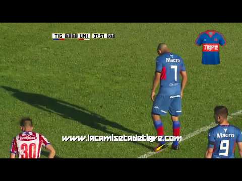 LA CAMISETA DE TIGRE - Gol de Carlos Ariel Luna a Unión (Santa Fe) (2016)