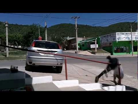 Hall of Meat - KEVIN BRITO