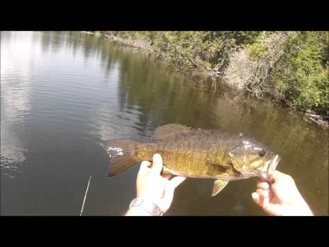 download lagu mp3 mp4 Golden Shore Flour, download lagu Golden Shore Flour gratis, unduh video klip Golden Shore Flour