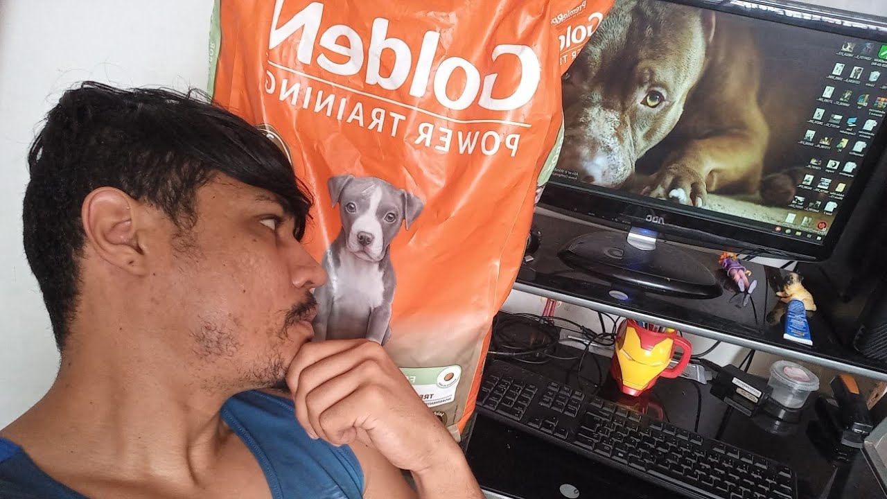 Vai comprar a ração Golden power training Veja até o final! #pitbull
