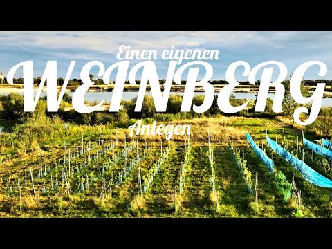 Der Traum vom eigenen Weinberg in Oberbayern // Teil 1: Planen + Anlegen
