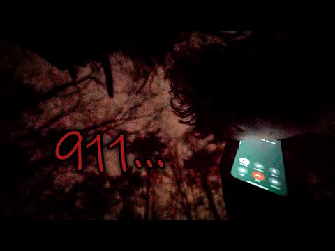 3 Times People Were Not Alone in the Forest