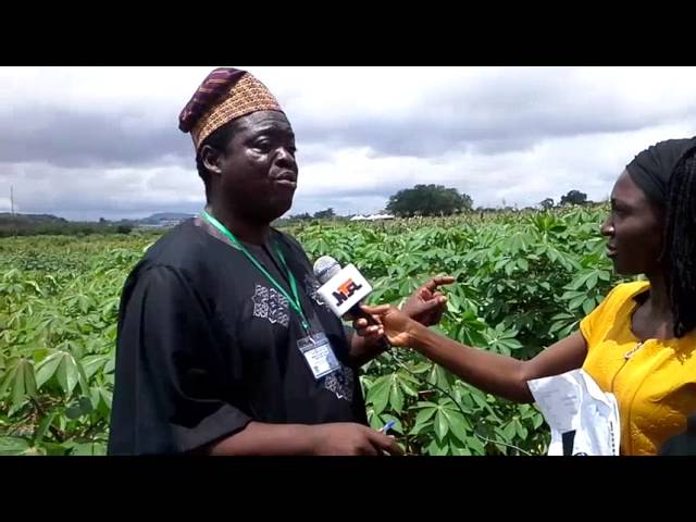 Federal College of Agriculture Akure video #2