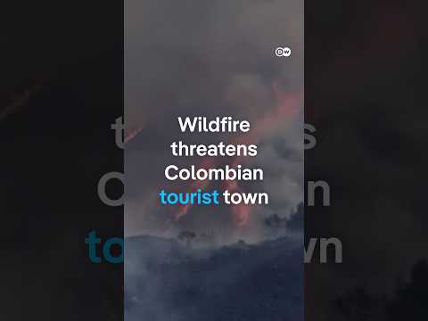 Wildfire forces evacuations in Colombia | DW News