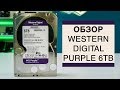 Жесткий диск 3.5" 2TB Western Digital WD20PURX - відео