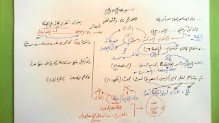 صورة 44 🔦 بصيرة تقدير العائد في الصفة