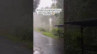 Download lagu warung tengah hutan, suasanya sunyi bikin mas awan merinding, siang aja oromanya beda apa lagi malam mp3