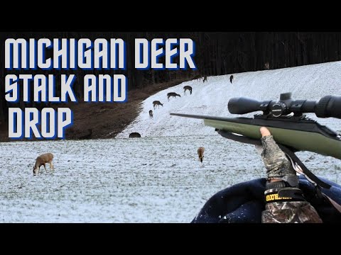 6.5 Creedmoor Kills 8 Deer in 48 Hours