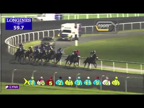 22.11.2012 Meydan (Dubai-UAE) 5.Race Al Dana Wealth 1.600 m