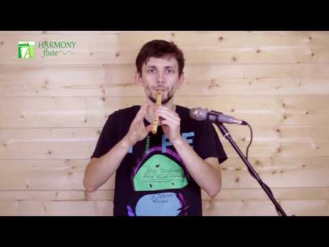 Buy Irish flute Whistle - HarmonyFlute