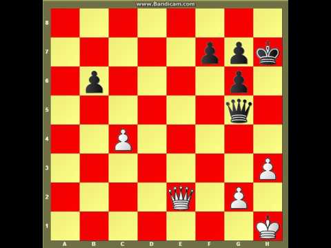 Šahovska zavrsnica iz moje partije     #17