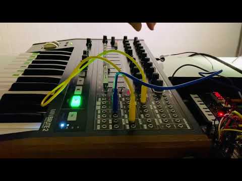 The Voltage Society: fiery sky 1. Minibrute 2, Korg NTS-1, Bastl Dude.