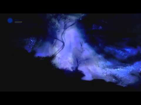 Daina.LT pristatymas (Grand Prix studentai)