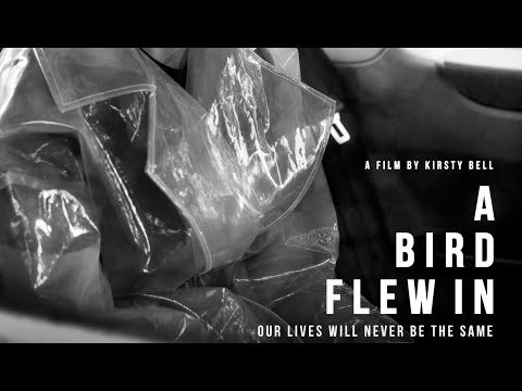 A Bird Flew In (International Trailer)