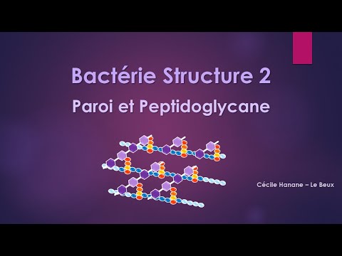 download lagu mp3 mp4 La Paroi Bactrienne, download mp3 La Paroi Bactrienne free download, download mp3 La Paroi Bactrienne