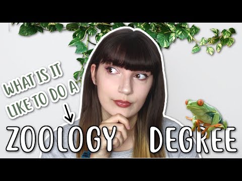 🐙  ZOOLOGY DEGREE: What is it like? 🐢
