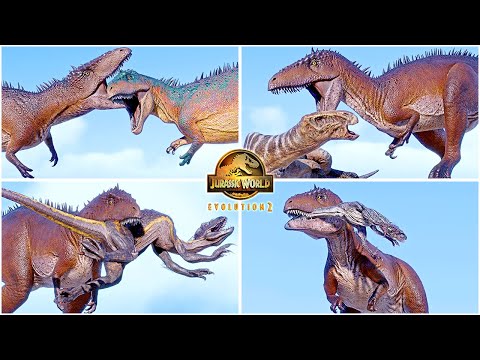 Carcharodontosaurus VS All Dinosaurs Killing Animations 🦖 Jurassic World Evolution 2 Large Carnivore