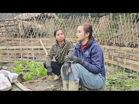 Suddenly, Don kept asking her mother to meet Duong, the man she hated so much