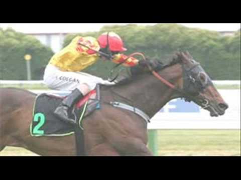 NZ HORSE RACING 2008