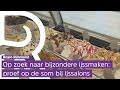 Ice ice baby! Hier moet je volgens onze volgers zijn voor het lekkerste ijs