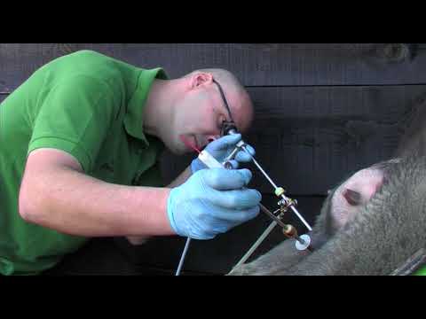 Može bolje ep. 53 09.04.2018. NAJAVA