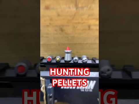 Crosman .22 Red Flight Penetraters - Test and Review