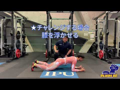 体育学科 IPU Workout プローン