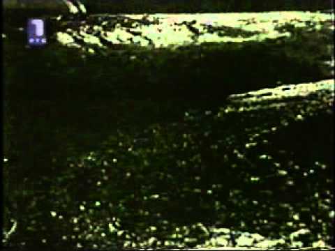 Aleksandar Stojic - Birov vice