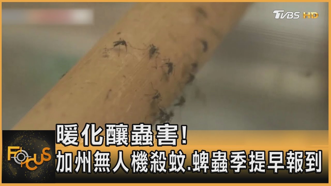 暖化釀蟲害!加州無人機殺蚊 蜱蟲季提早報到
