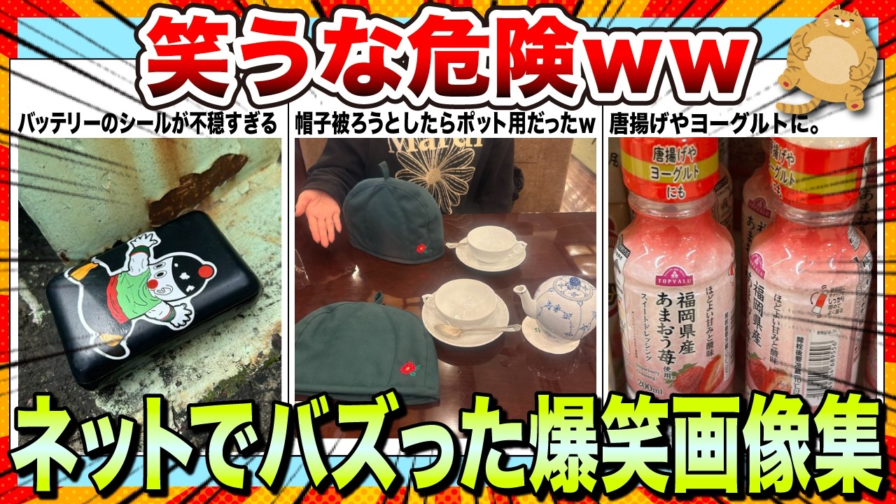 【🔥爆笑】年度末笑って過ごして新年度を迎えようwwネットで大バズり散らかした爆笑画像集www【2ch】【5ch】【ゆっくり解説】【コメ付き】【面白画像】