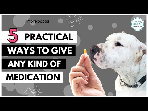 5 Different ways to give pill 💊or capsule to your dog🐶