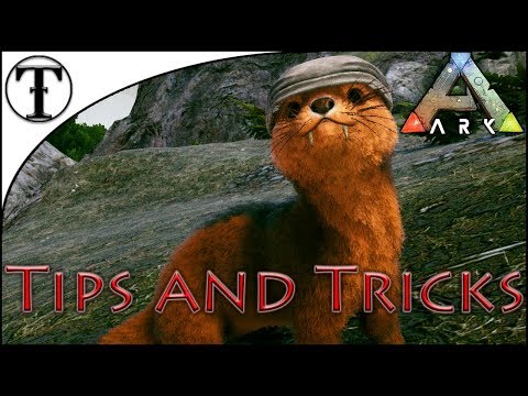 Fast Otter Taming Guide :: Ark : Survival Evolved Tips and Tricks