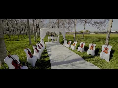 Avi Ilson - Zman Chupah - arranged by yoeli dikman